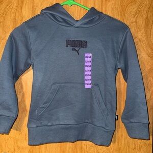 Puma Kids Hooded Sweatshirt in Slate Blue